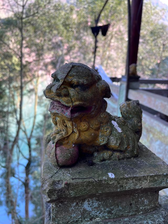 【成都1小時】天然氧吧，太美了！