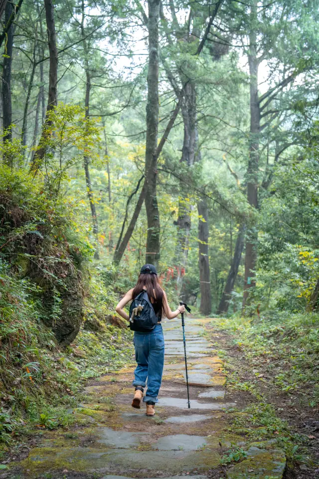 A hiking secret that I can't bear to reveal, it's so healing~