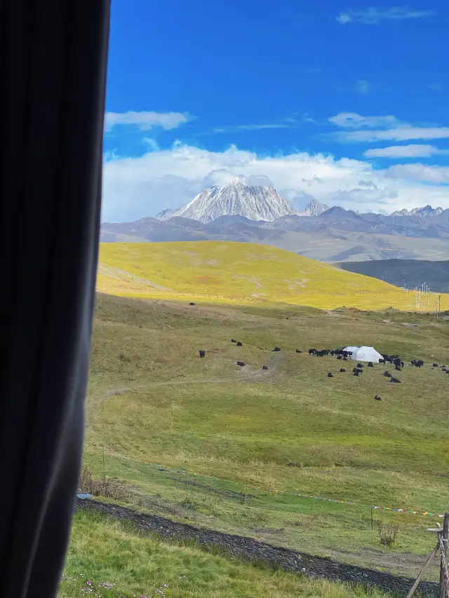 Sichuan West | Gulong Village, Gangri Dawa * Overlooking Yala Snow Mountain