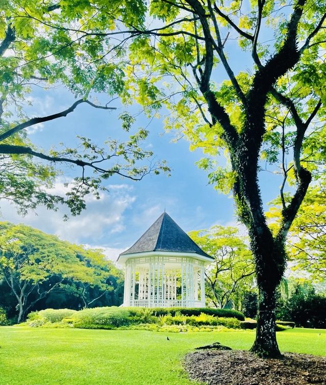 新加坡首個被列為的世界遺產｜新加坡植物園