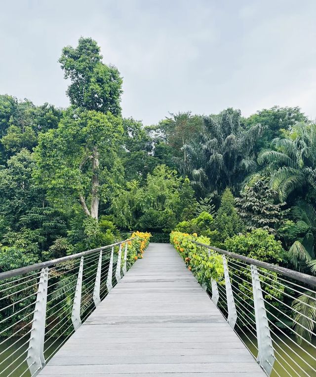 新加坡首個被列為的世界遺產｜新加坡植物園