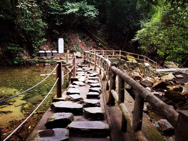 岭南四大名山之首的鼎湖山