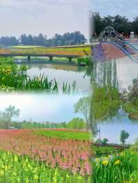 成都 天府芙蓉園 ｜去有風的地方，成都的後花園