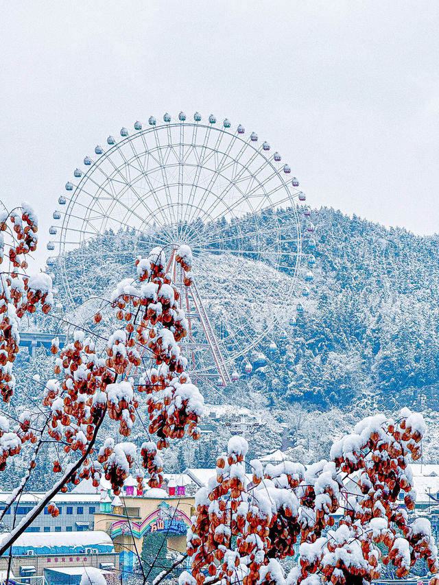 遇見一場浪漫雪景開啟梵淨山純淨之旅