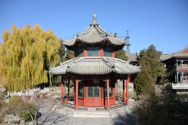 Journey ~ Hebei Baoding Lotus Pond Academy