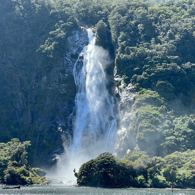 A Taste of the Enchanting Fiordland!