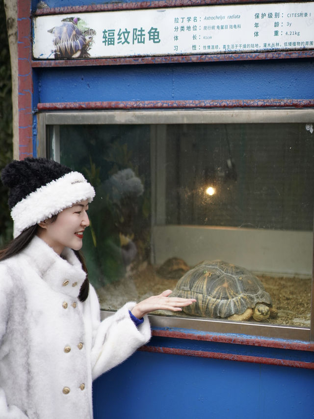 春節遊玩好去處！！和野生動物近距離互動