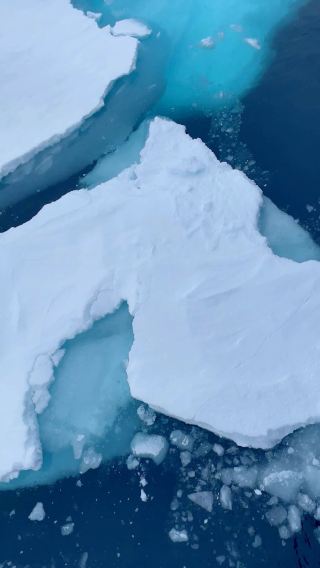 Protecting Wildlife and the Global Climate Balance 🌍❄️🐾