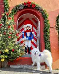 Smol polar bear explores 📍Rothenburg ob der Tauber during the Christmas season! 🎄😍