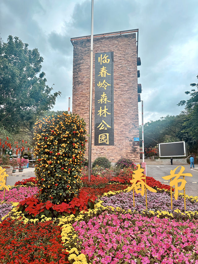 龍年新年｜三亞臨春嶺森林公園環山步道
