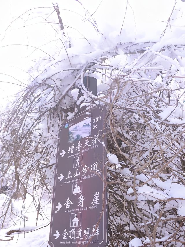 打卡雪後的老君山