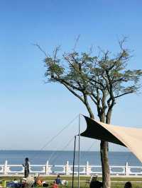 【珠海】強推給友友們壹個小衆海島🌴