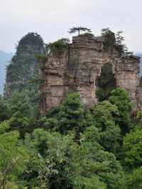 登「峰林之王」——天子山，看日照霞染生輝，山間雲霧變幻