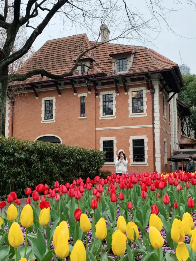 City Park Guide, the tulips in Xujiahui Park are in full bloom