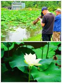 世紀公園｜攝影大咖拍鳥我拍攝影大咖