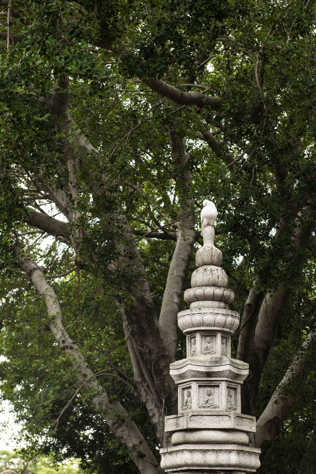 泉州行（四）：十步一寺，五步一庙