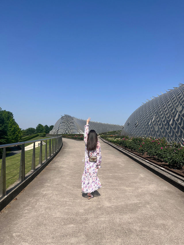 一定要去的植物園
