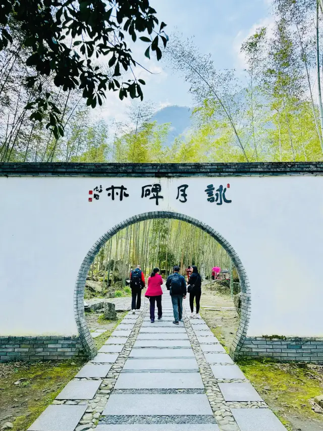 In the bamboo sea on Mount Mingyue, there lies the Moon-Reciting Stele Forest