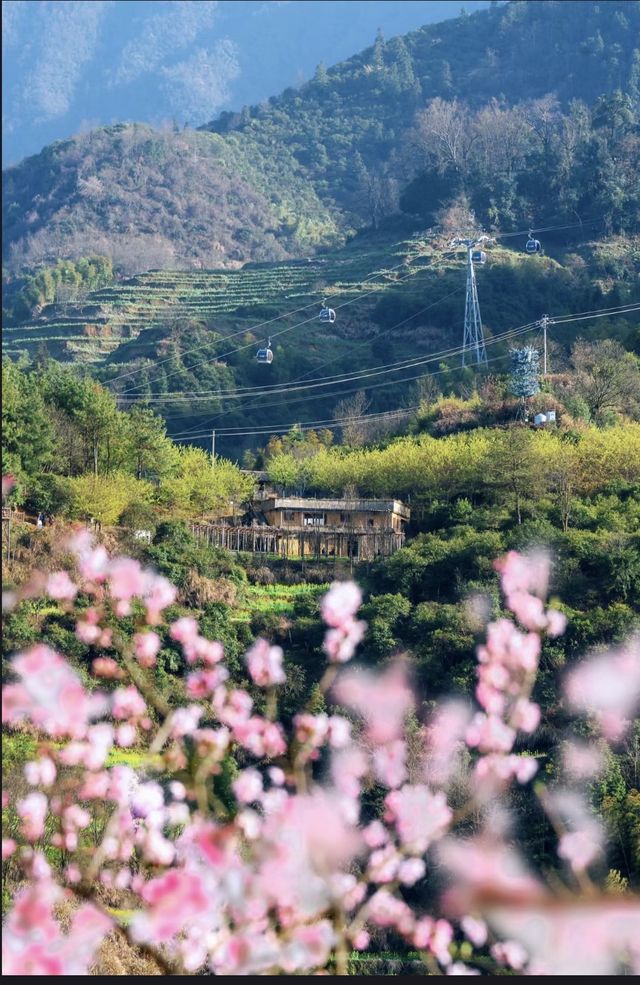 被《國家地理》評為最美古村的春天到底有多絕