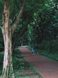 五台山泉打卡新加坡福康寧公園周邊