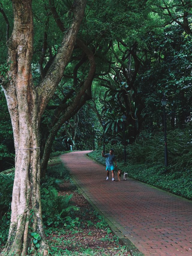 五台山泉打卡新加坡福康寧公園周邊