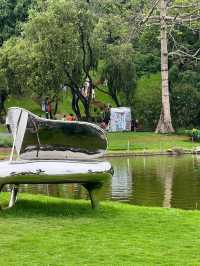 「廣州雲台公園：花海、彩色木屋、荷蘭風車，春天浪漫時光」
