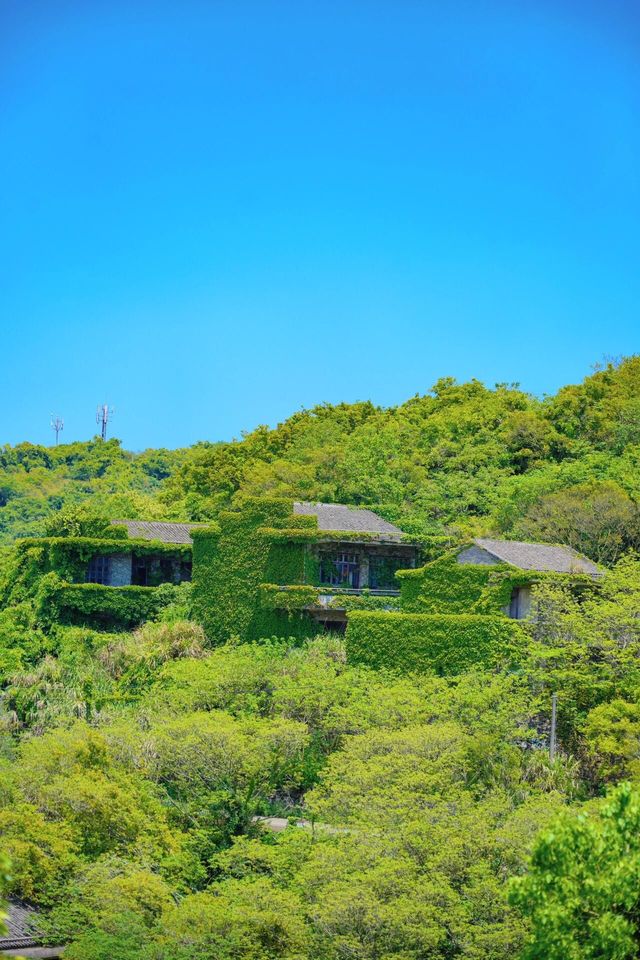 放棄南麂島了，這座寶藏海島景美還沒人