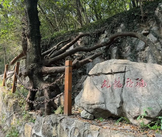 安徽宿州皇藏峪國家森林公園‖宿州必打卡景點之一