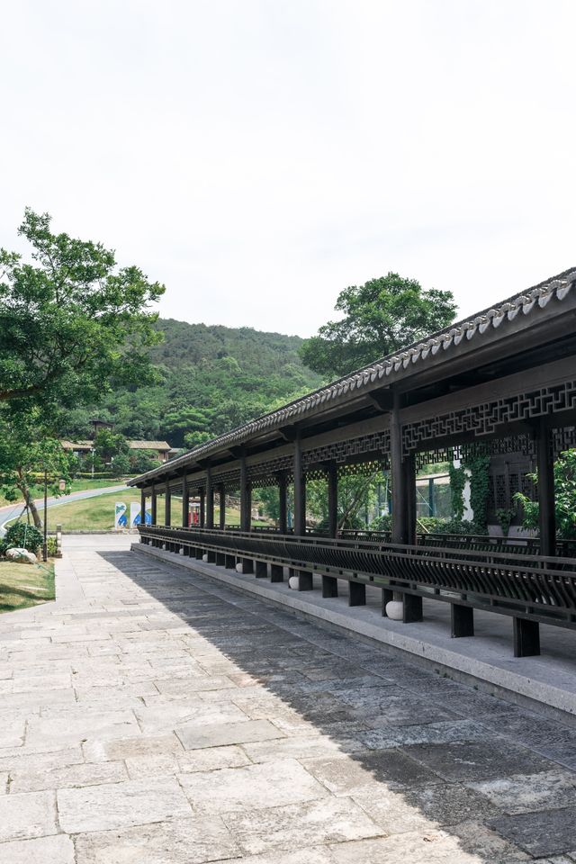 半邊山觀堂 | 半邊是山半邊是海