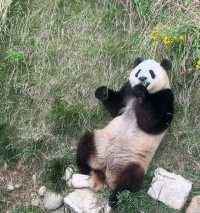 西安一人行之：佛坪全攻略！