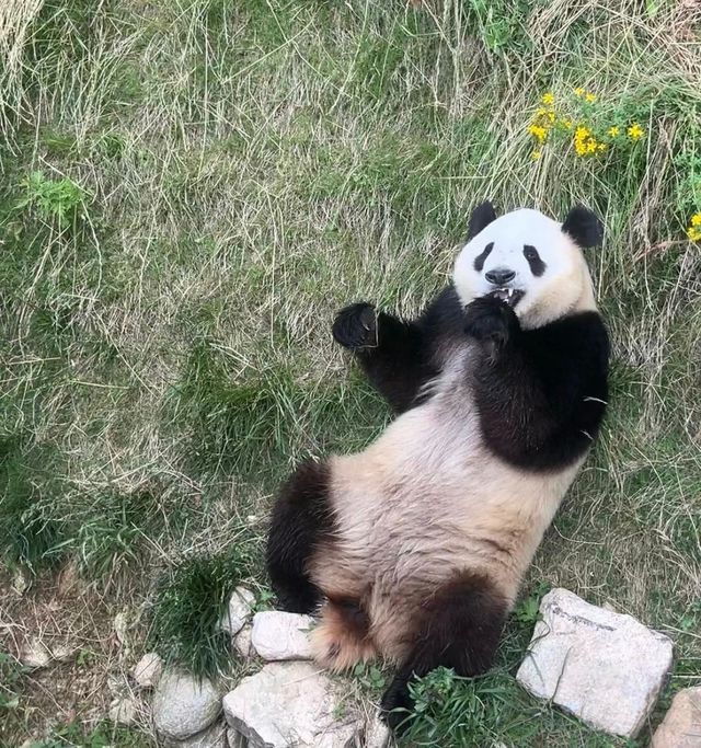 西安一人行之：佛坪全攻略！