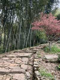 讓身心放個假，江浙滬佛系度假民宿推薦