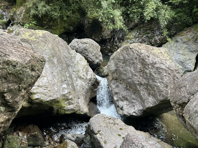 龍苍溝國家級森林公園