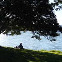 【悉尼市區漫步】海德公園至歌劇院