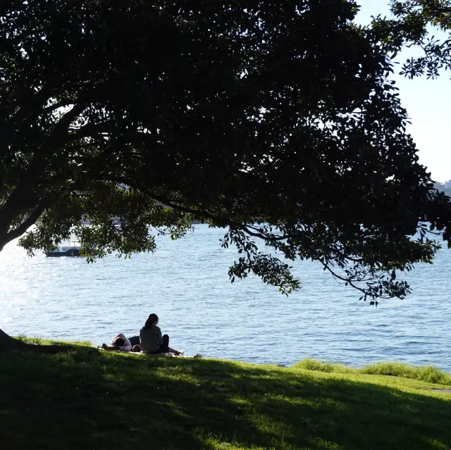 Sydney City Stroll: Hyde Park to the Opera House