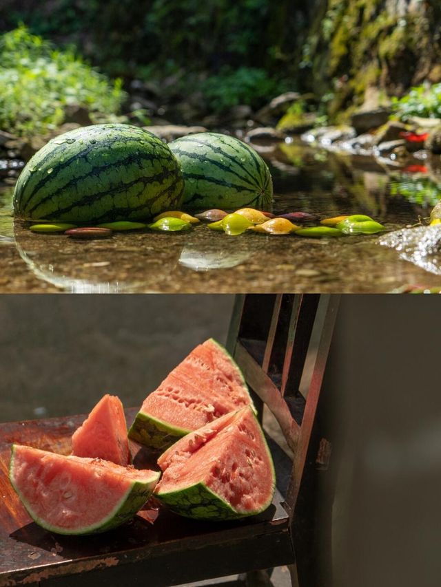 夏日限定，與大自然零距離接觸