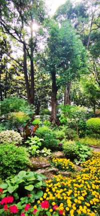 長壽公園：普陀人家門口的“清涼世界”