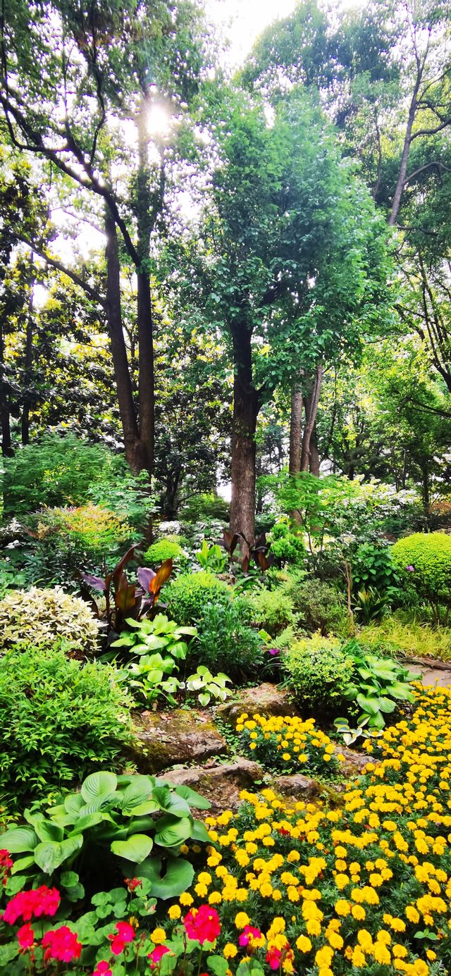 長壽公園：普陀人家門口的“清涼世界”