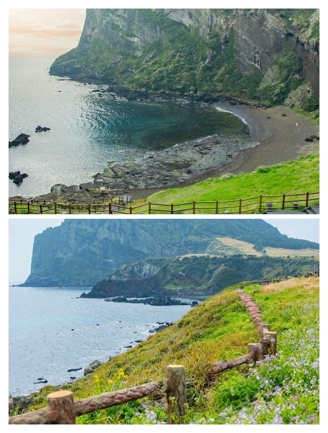 離開濟州島的後勁比失戀都大