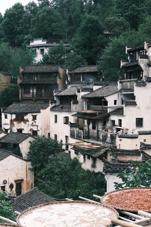 最美鄉村|婺源篁嶺7小時CountryWalk旅遊攻略 最美鄉村|婺源篁嶺7小時CountryWalk旅遊攻略