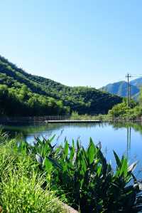 安吉必住民宿｜遇見竹海中的童話世界