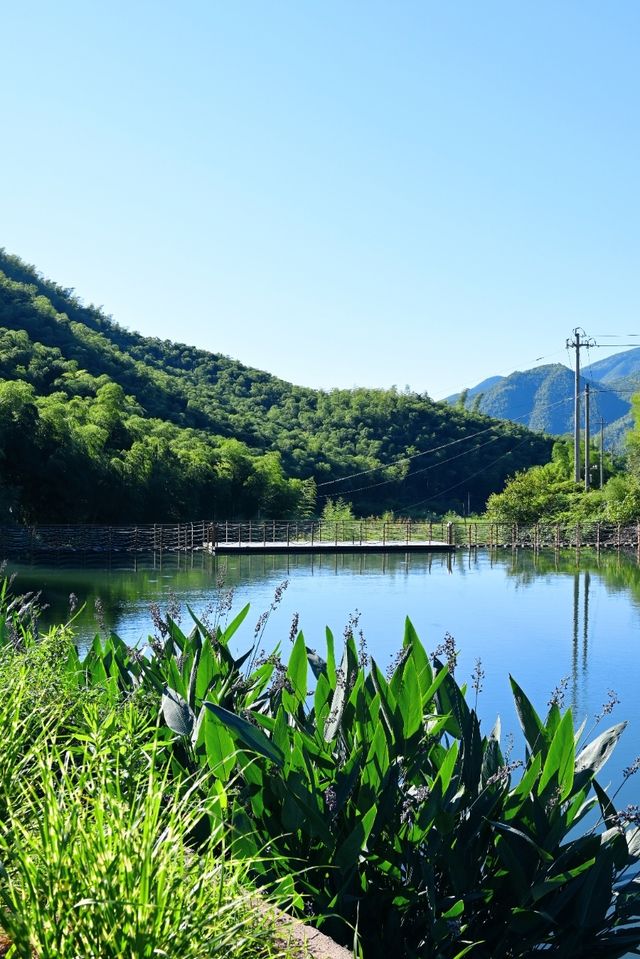 安吉必住民宿｜遇見竹海中的童話世界