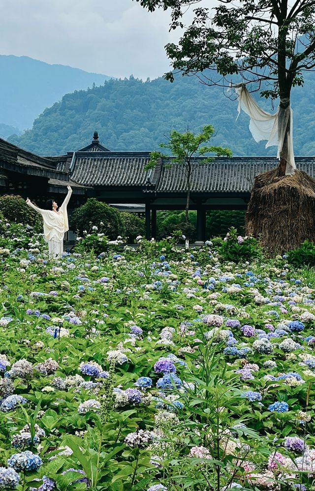 禪意，茶藝，田園生活