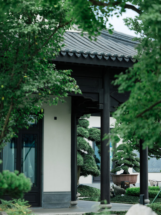 家人們誰懂啊 不出成都也能住進蘇式園林