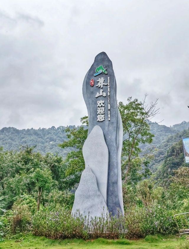 探秘莽山五指峰，領略大自然的鬼斧神工