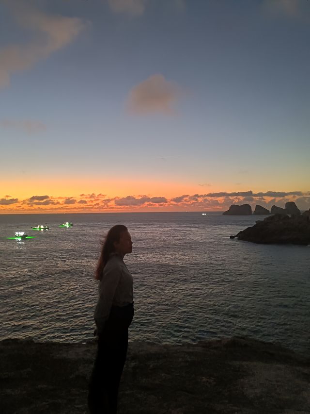 漁山島遊記
