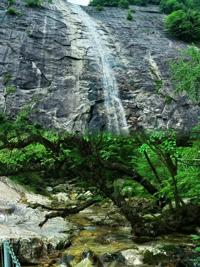 朱雀國家森林公園