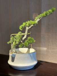 體驗非遺文化