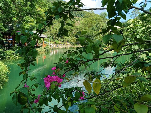 肇慶紫雲谷，廣東九寨溝