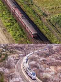🚂5 Unmissable Train Routes for UK Travel 🚂